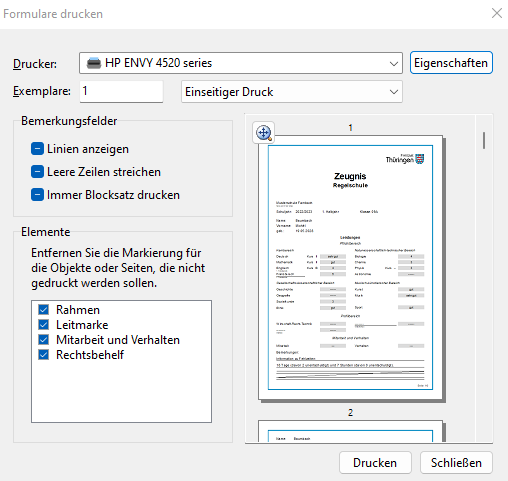 Screenshot Dialog drucken